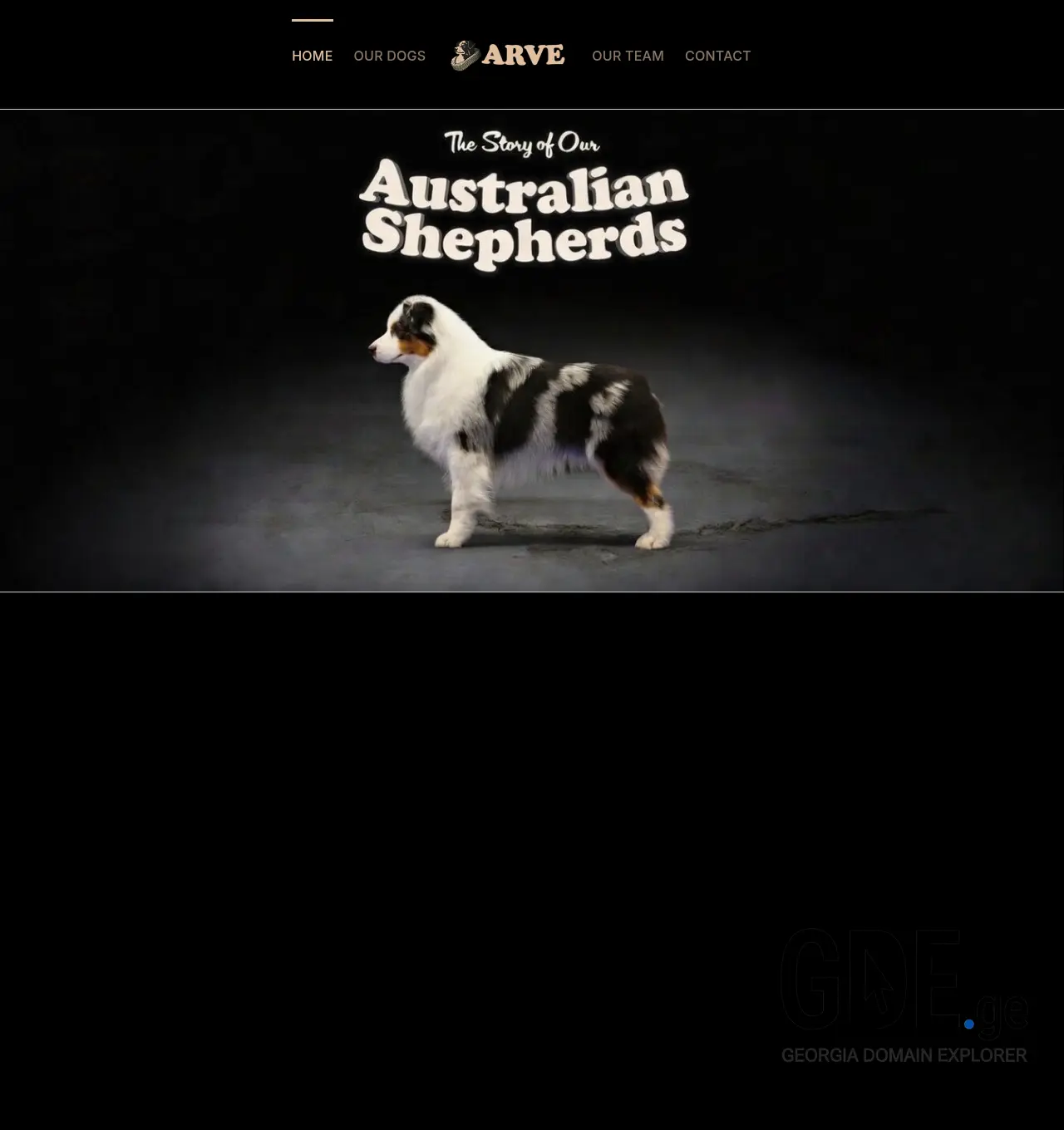 Screenshot of the site aussie.ge at 2026-06-16
