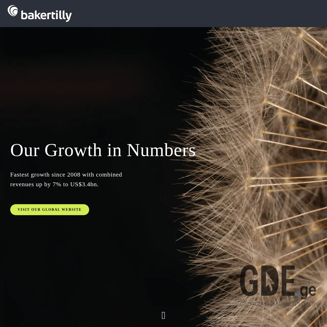 Screenshot of the site bakertillygeorgia.ge at 2026-03-31