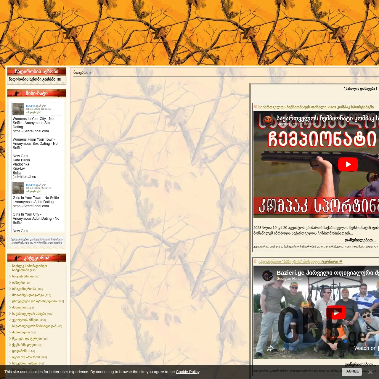 Screenshot of the site bazieri.ge at 2026-03-31
