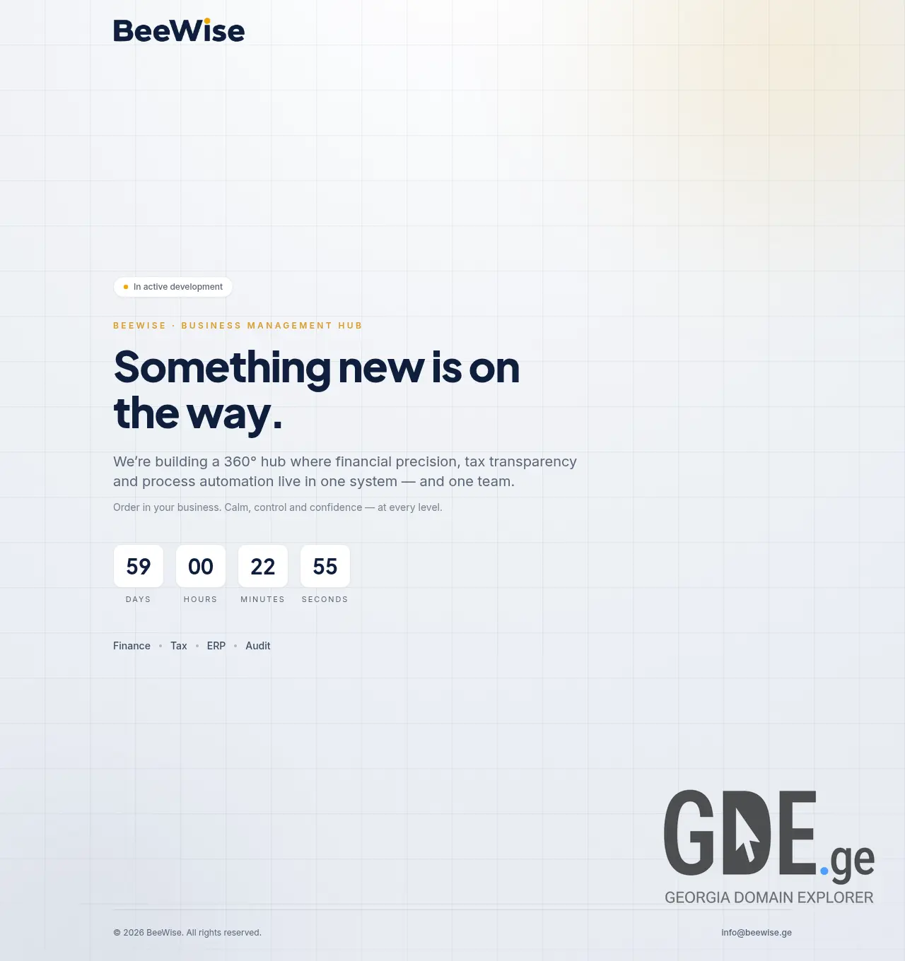 Screenshot of the site beewise.ge at 2026-07-04