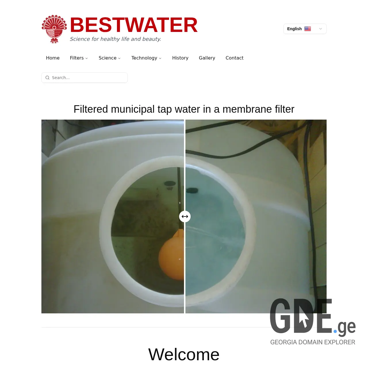 Screenshot of the site bestwater.ge at 2026-03-26