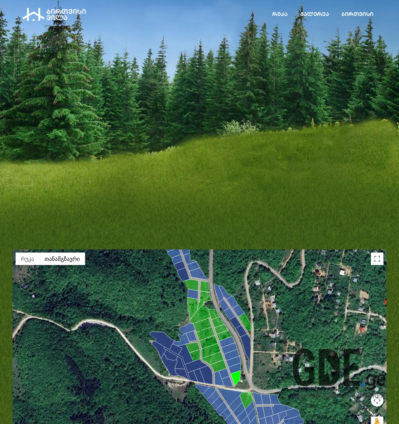Screenshot of the site birtvisivilla.ge at 2026-05-06