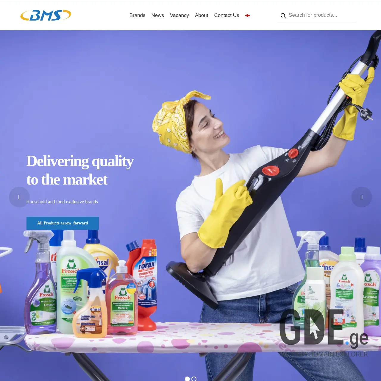 Screenshot of the site bms.ge at 2026-03-01