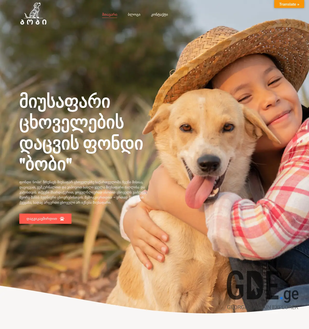Screenshot of the site bobbi.ge at 2026-05-10