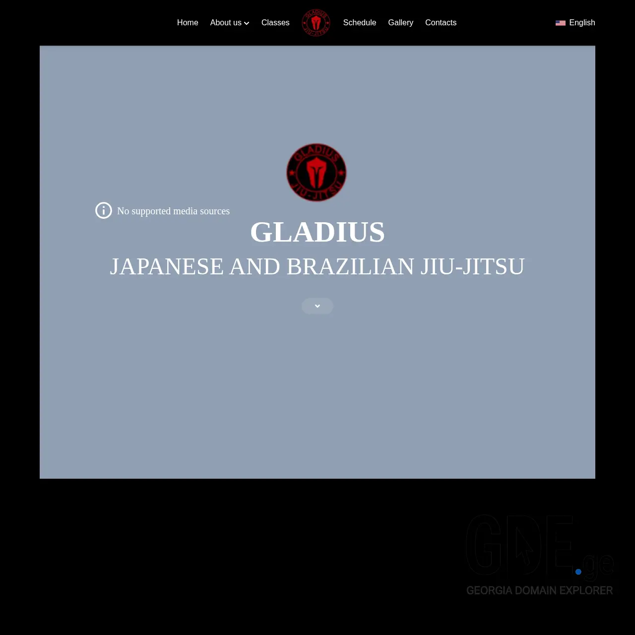 Screenshot of the site brazilianjiujitsu.ge at 2026-03-24