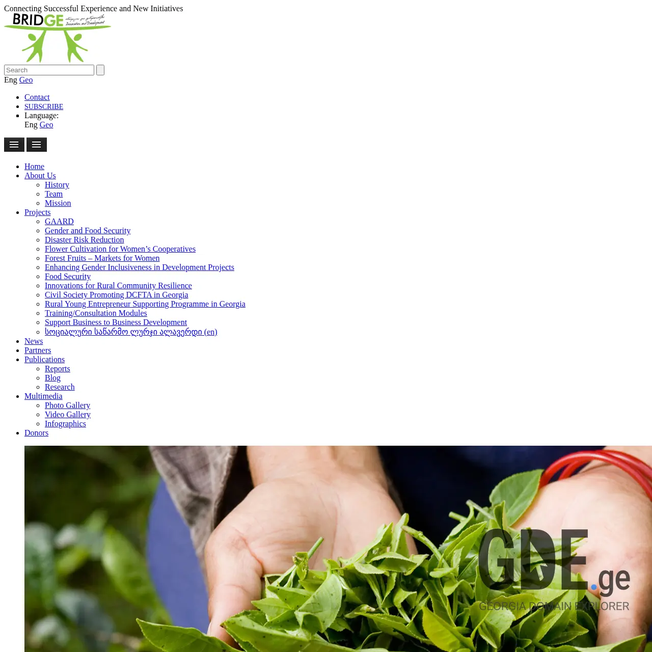 Screenshot of the site bridge.org.ge at 2026-03-31