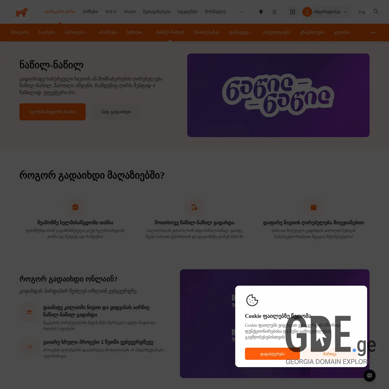 Screenshot of the site buynowpaylater.ge at 2026-03-29