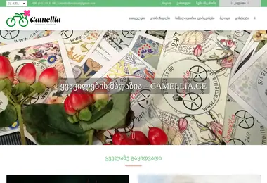 Preview from 31.03.2026