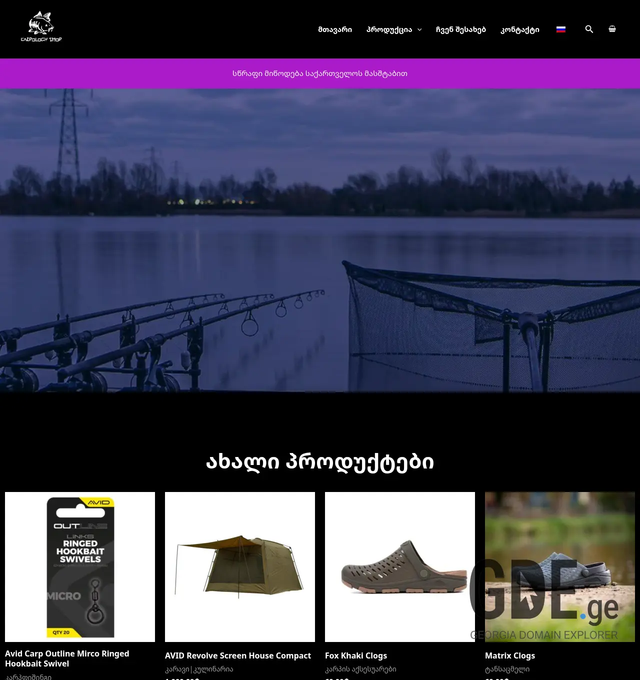 Screenshot of the site carp.ge at 2026-04-10