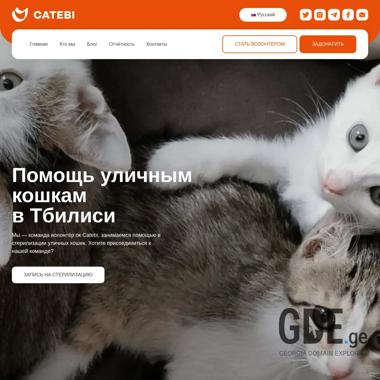 Screenshot of the site catebi.ge at 2026-03-27