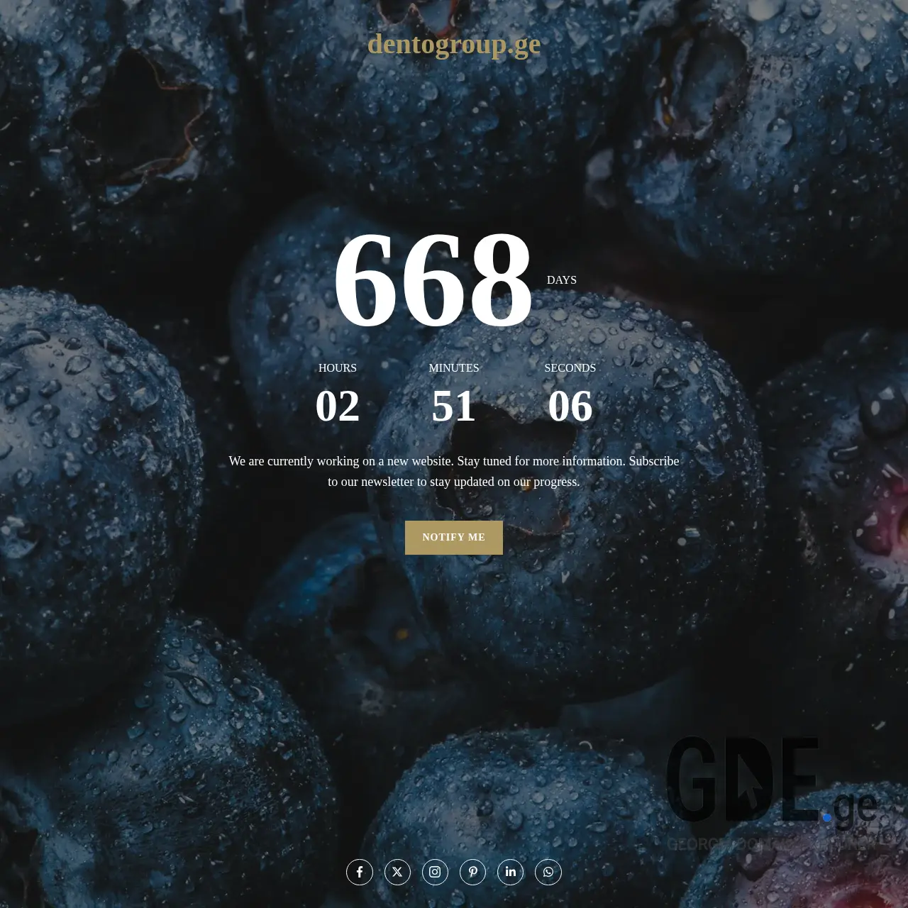 Screenshot of the site dentogroup.ge at 2026-03-13