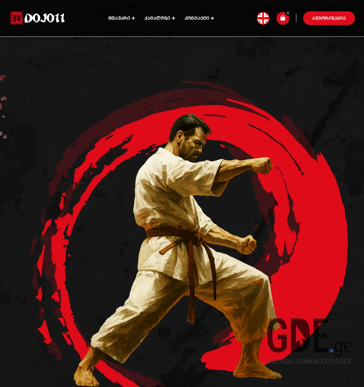 Screenshot of the site dojo11.ge at 2026-05-26