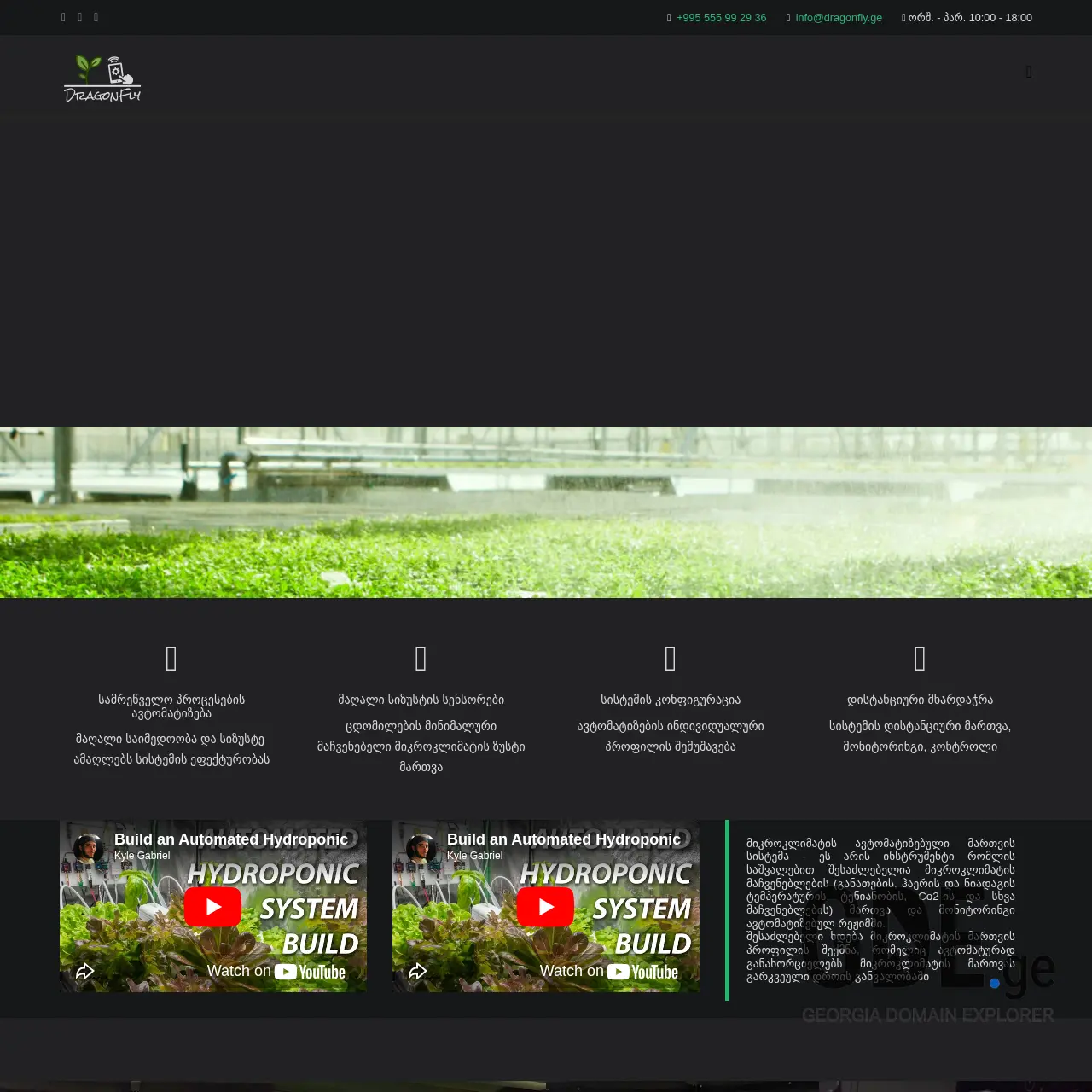 Screenshot of the site dragonfly.ge at 2026-03-29