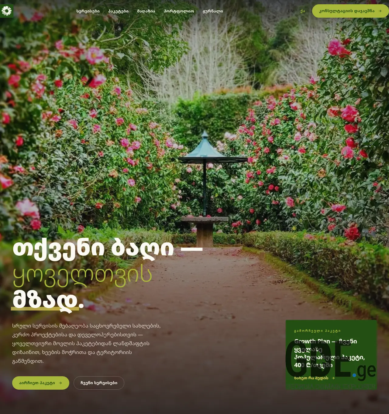 Screenshot of the site drverde.ge at 2026-05-05