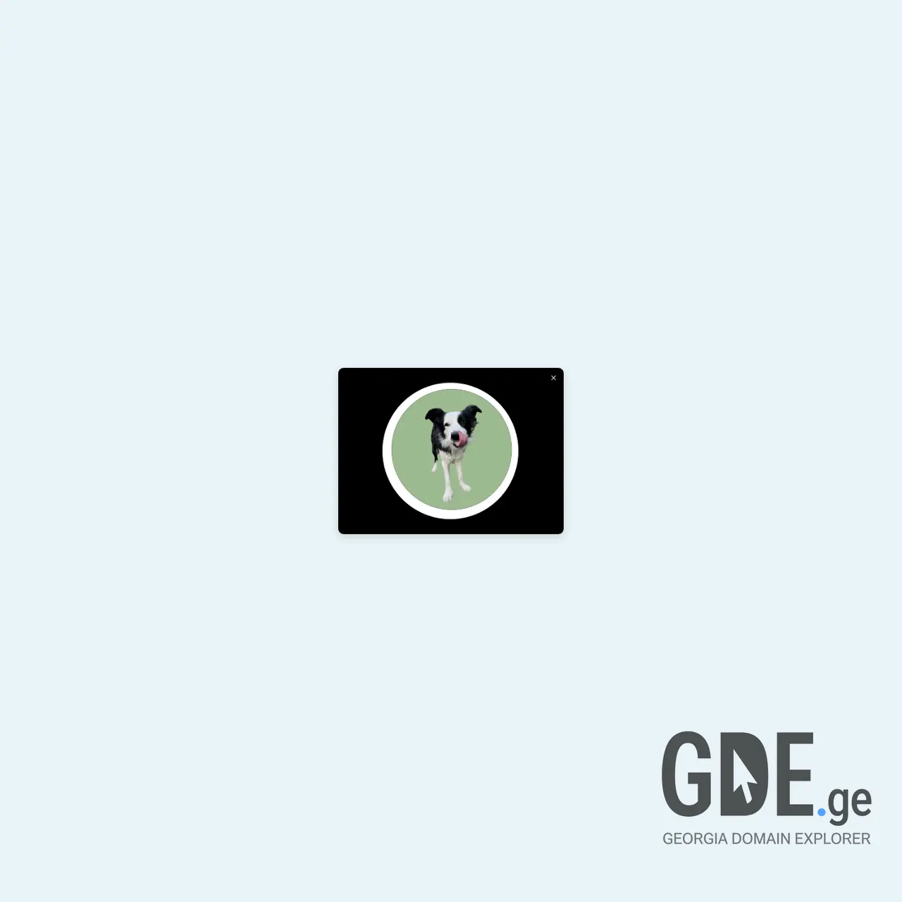 Screenshot of the site dzagli.ge at 2026-03-25