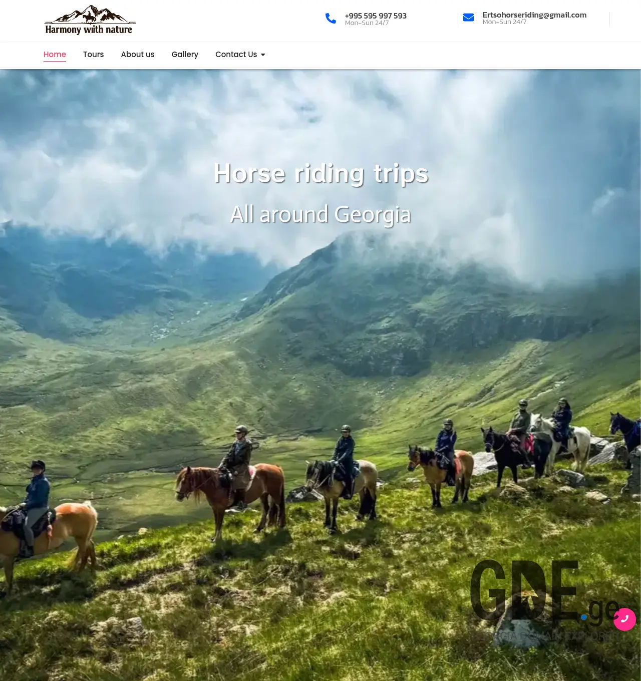 Screenshot of the site ehorseriding.ge at 2026-05-19