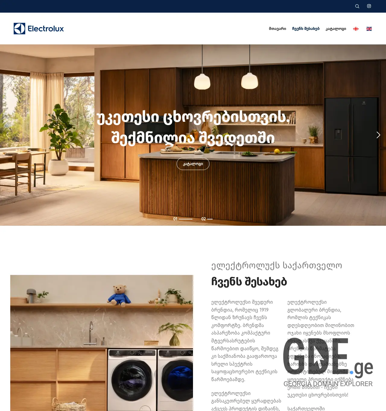 Screenshot of the site electrolux.ge at 2026-07-10