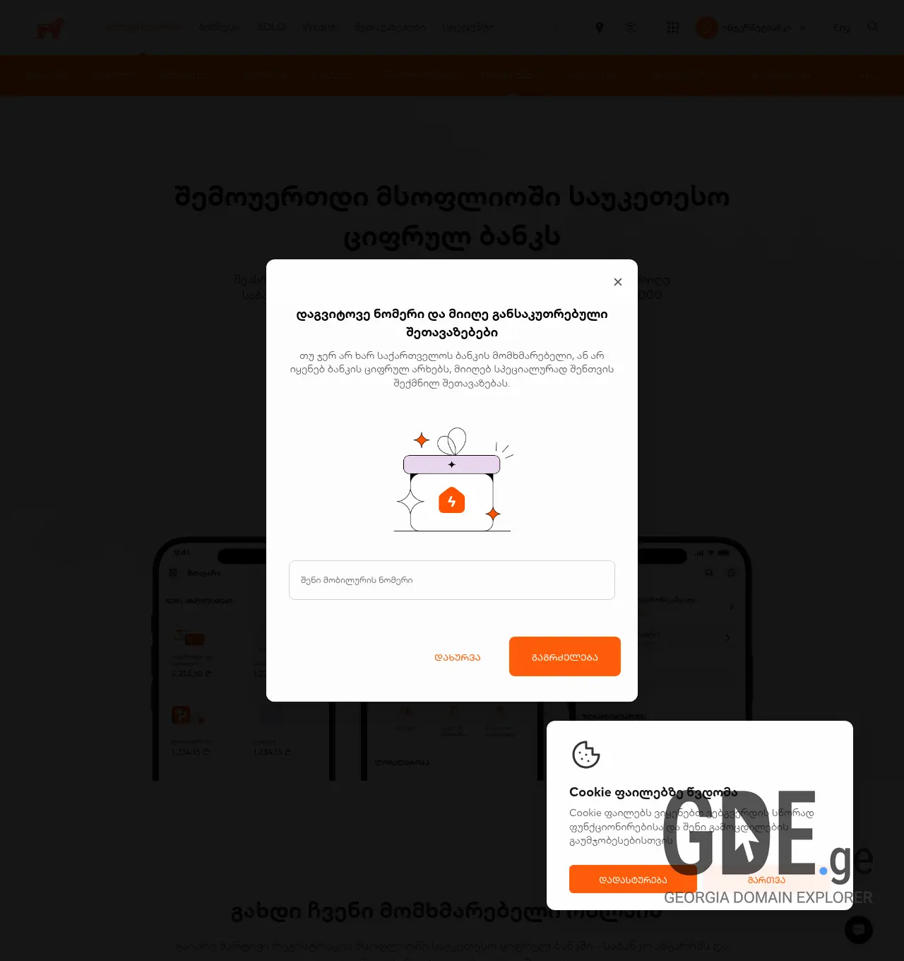 Screenshot of the site embanki.ge at 2026-07-10