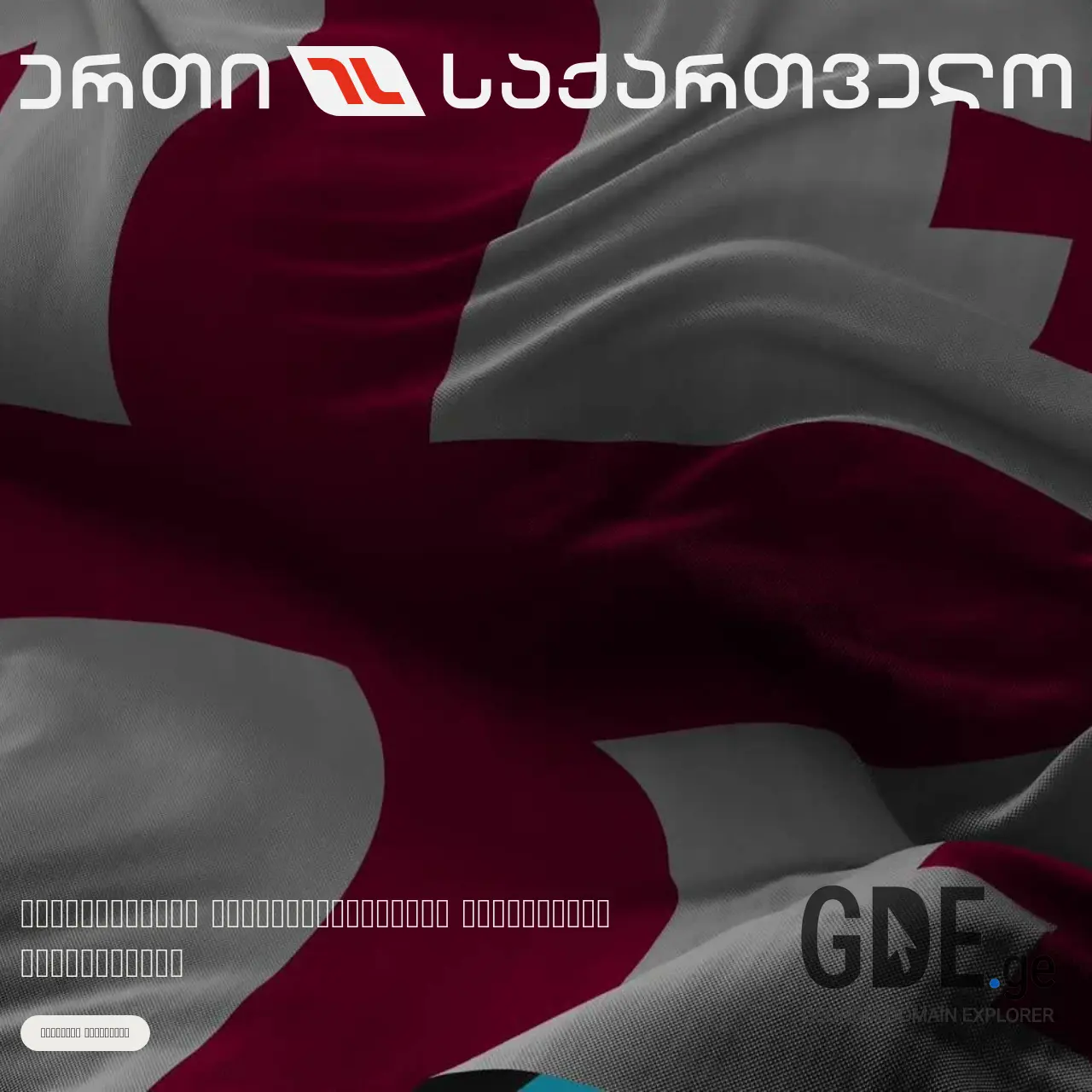 Screenshot of the site ertisakartvelo.ge at 2026-03-17