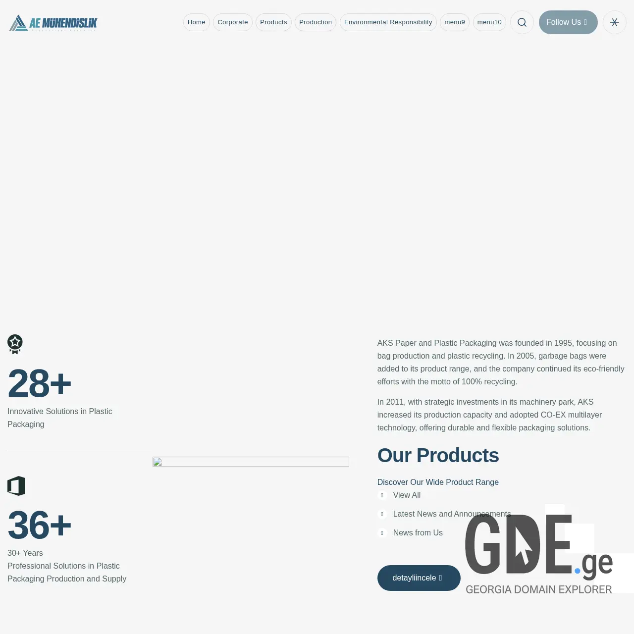 Screenshot of the site esgroup.ge at 2026-03-01