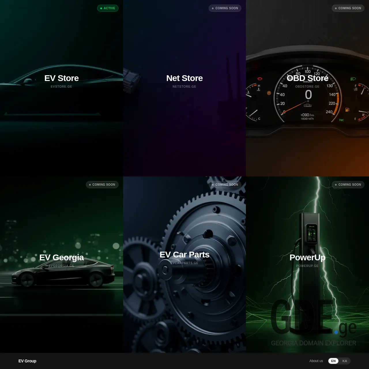 Screenshot of the site evgroup.ge at 2026-03-02