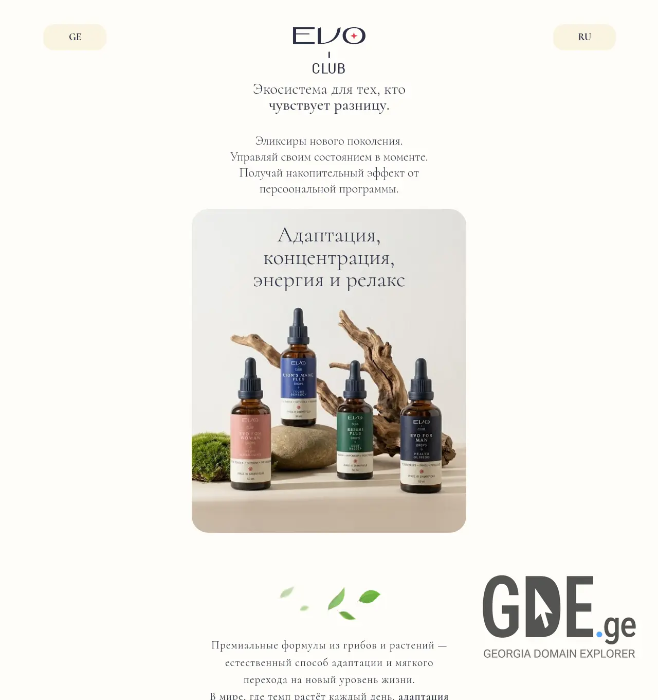 Screenshot of the site evoclub.ge at 2026-05-13