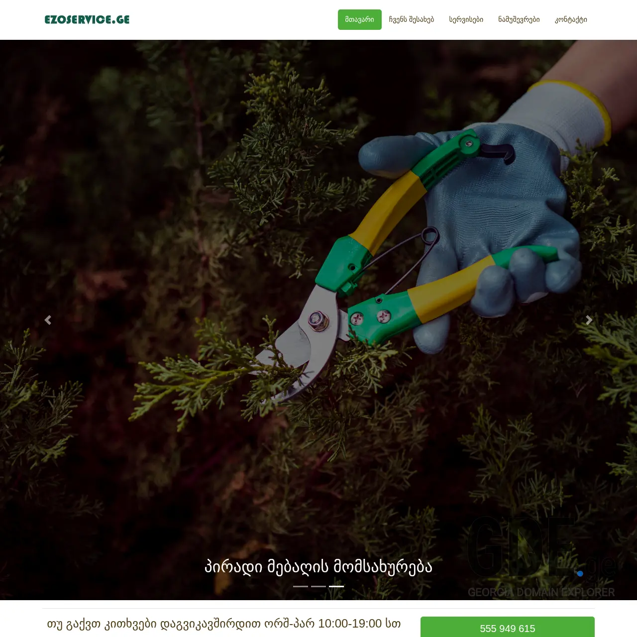 Screenshot of the site ezoservice.ge at 2026-03-29