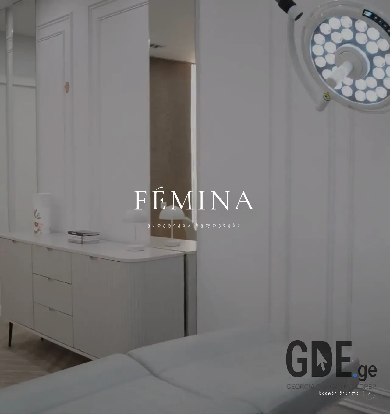 Screenshot of the site feminaclinic.ge at 2026-06-17