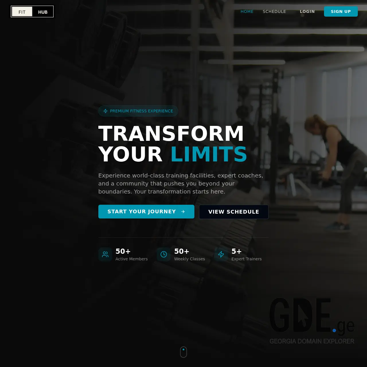 Screenshot of the site fithub.ge at 2026-03-26