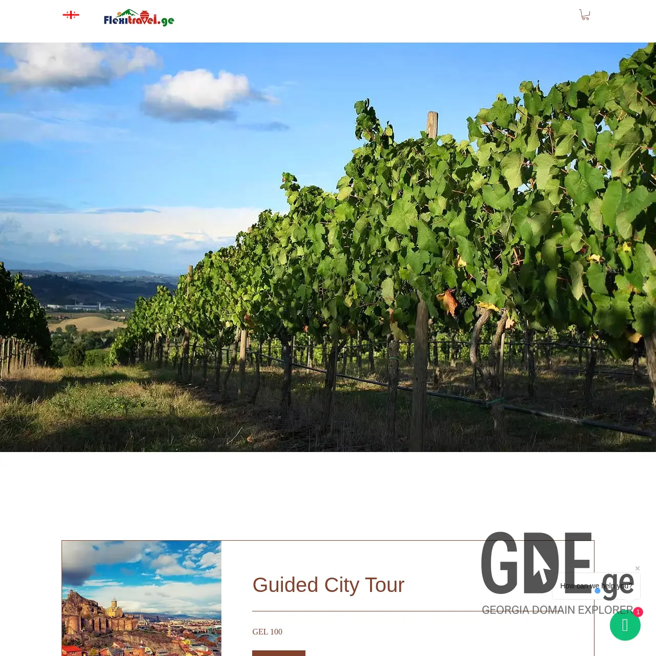 Screenshot of the site flexitravel.ge at 2026-03-25