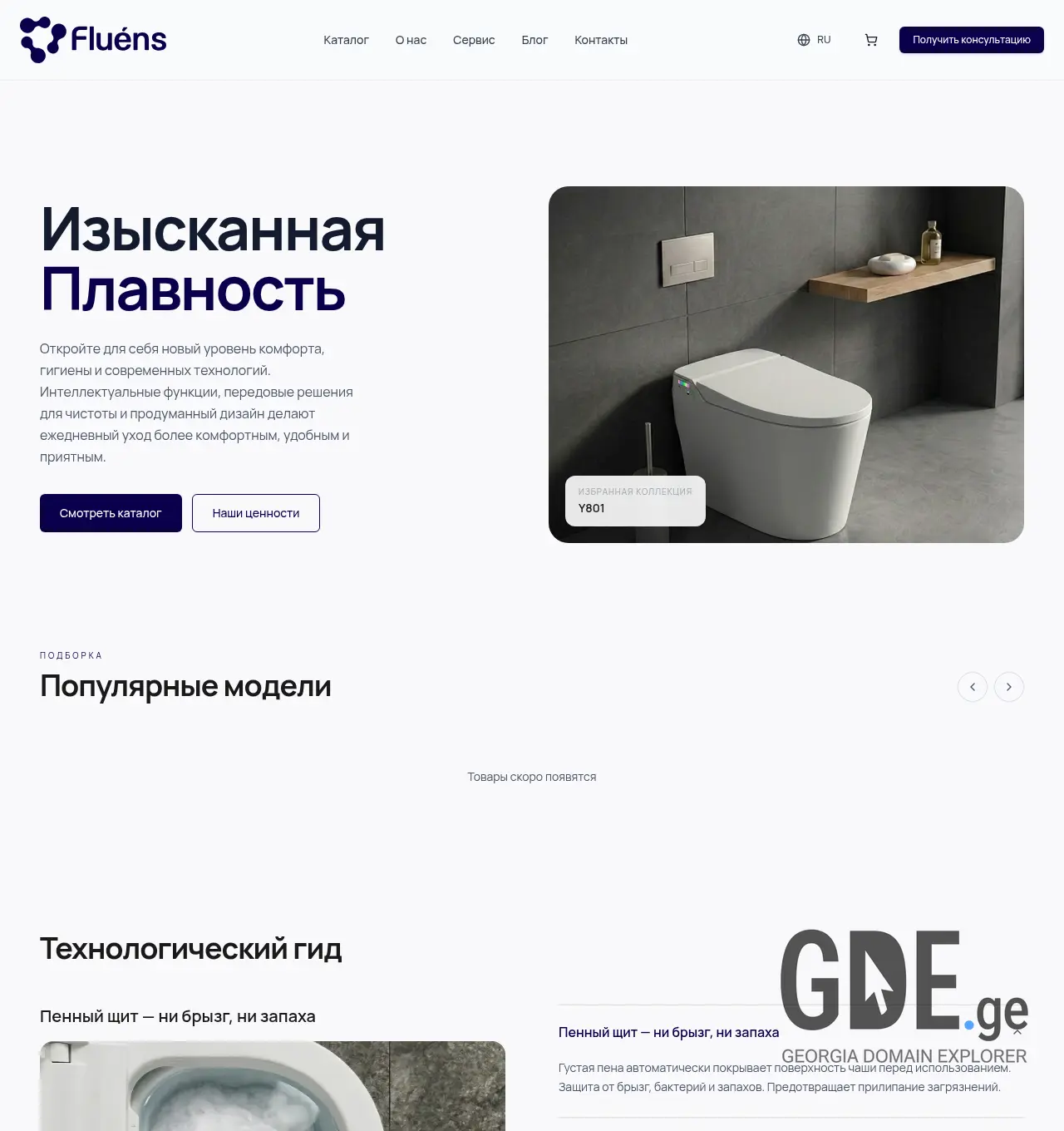 Screenshot of the site fluens.ge at 2026-06-24