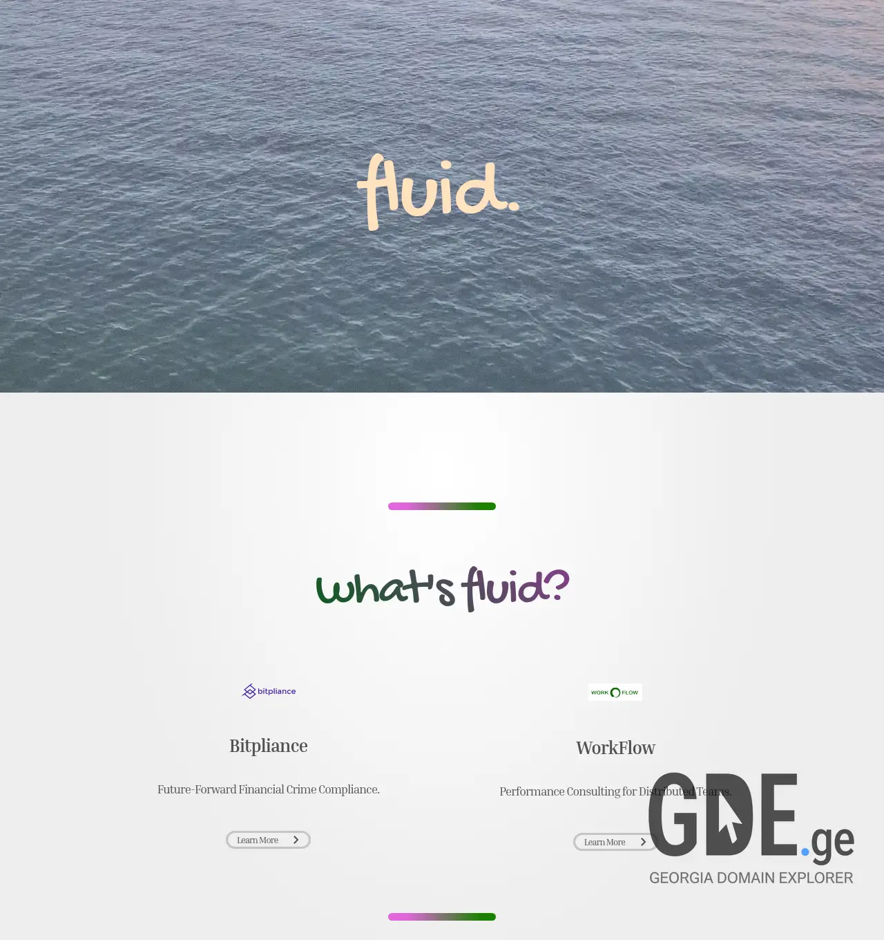 Screenshot of the site fluid.ge at 2026-07-12