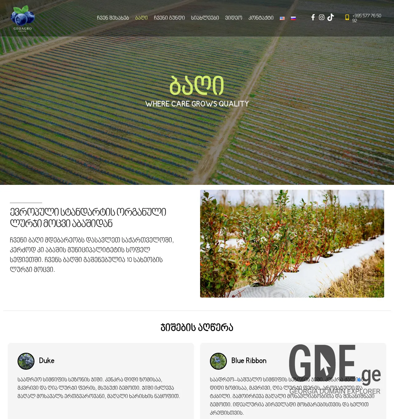 Screenshot of the site geoagroestate.ge at 2026-06-23