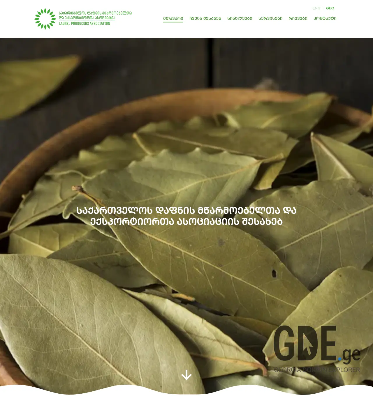 Screenshot of the site geodafna.ge at 2026-05-09