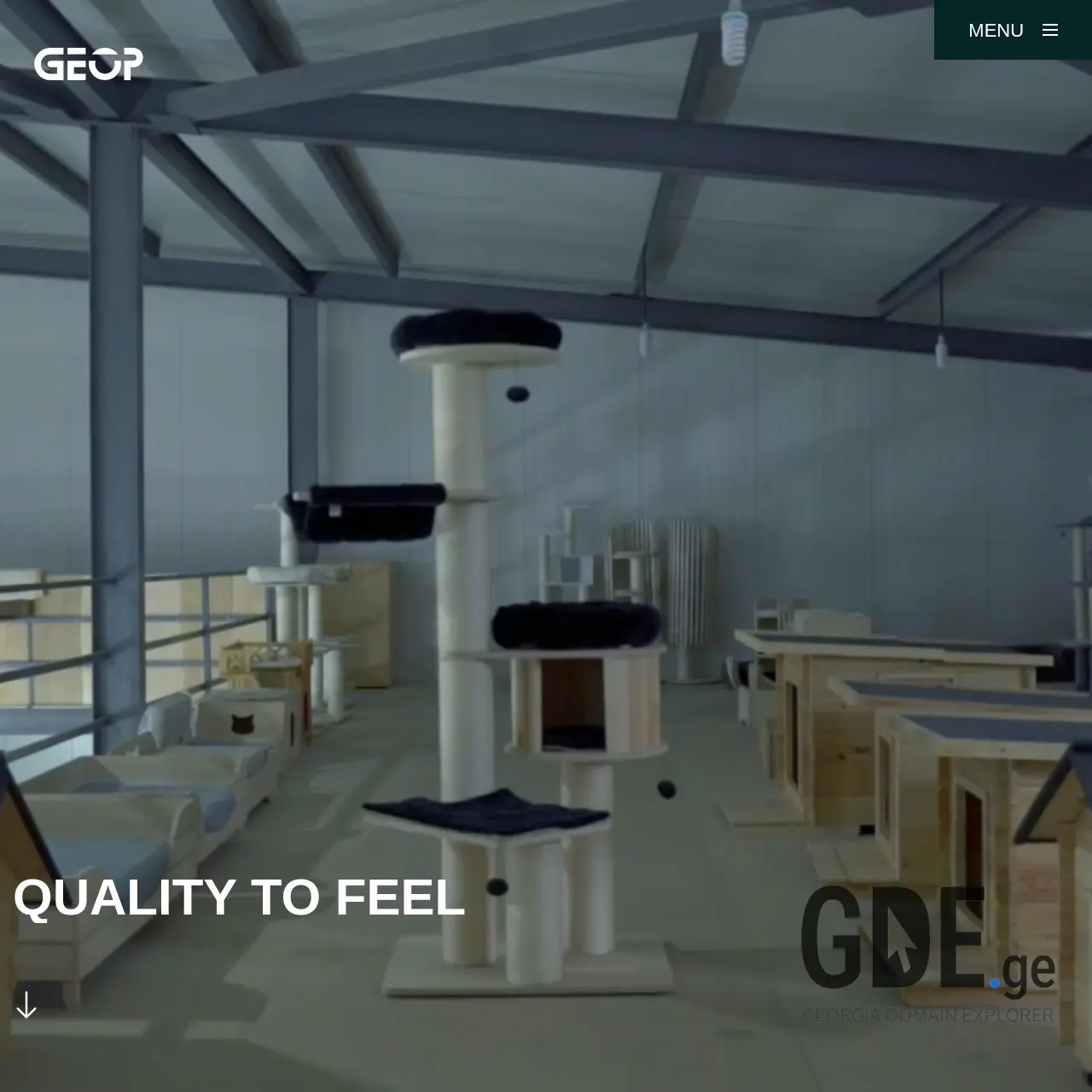 Screenshot of the site geoproducts.ge at 2026-03-01
