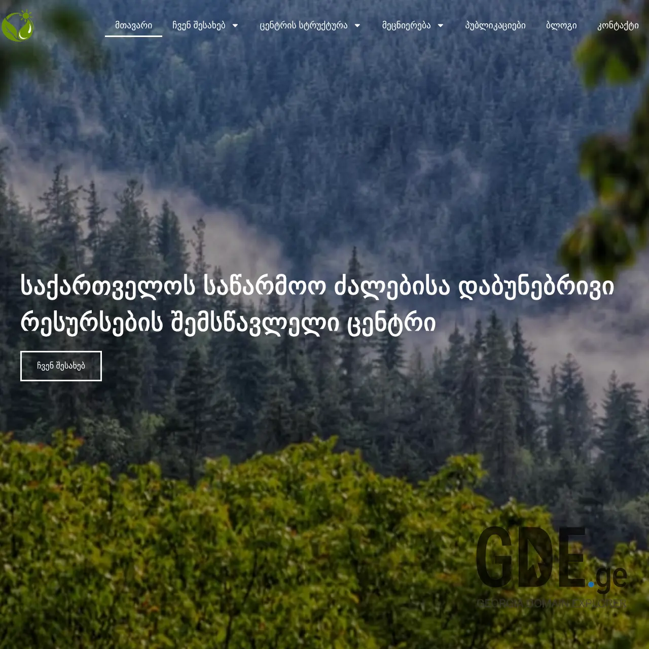 Screenshot of the site georesources.ge at 2026-03-26