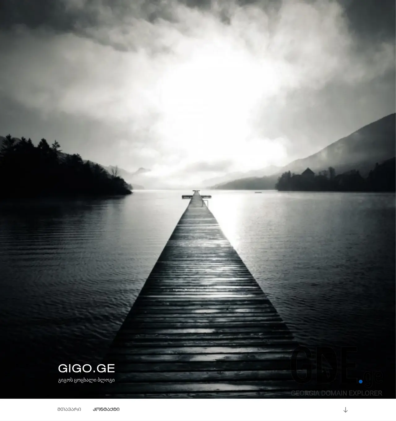 Screenshot of the site gigo.ge at 2026-06-14