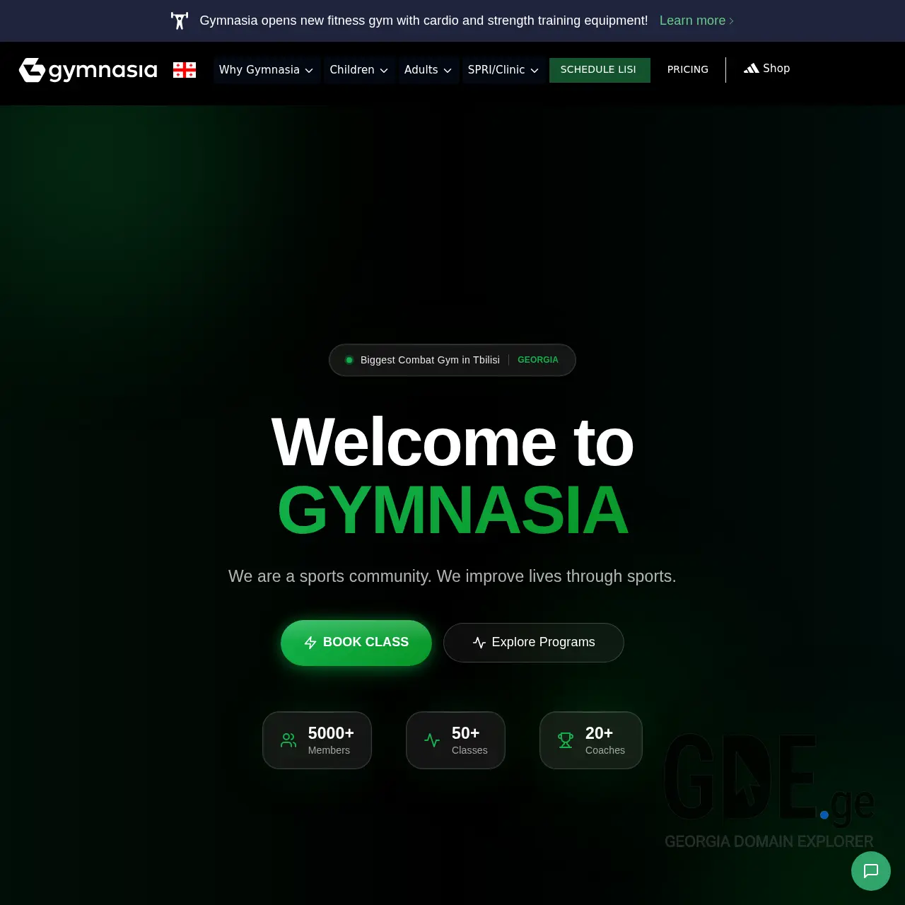 Screenshot of the site gmn.ge at 2026-03-25