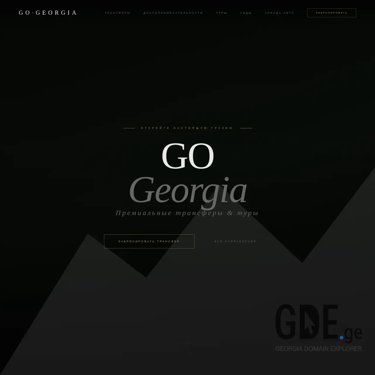 Screenshot of the site go-georgia.ge at 2026-03-26