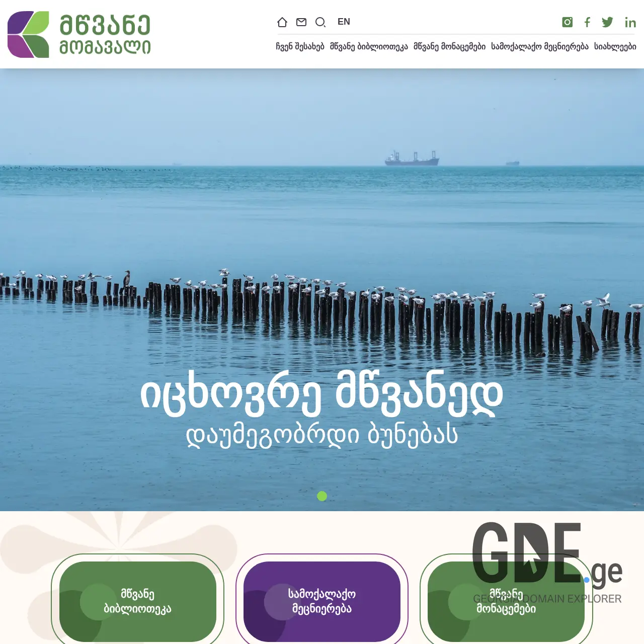Screenshot of the site gogreen.ge at 2026-03-26