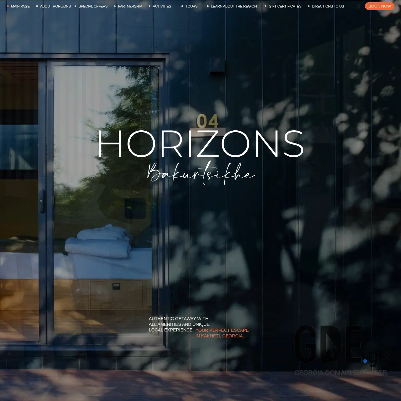 Screenshot of the site gohorizons.ge at 2026-03-28