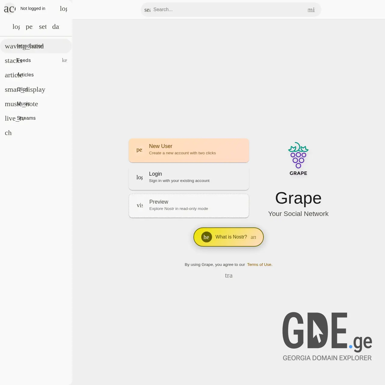 Screenshot of the site grape.ge at 2026-03-04