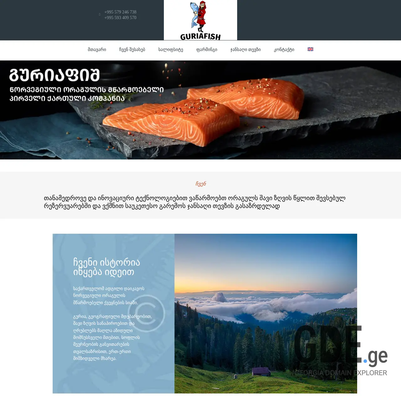 Screenshot of the site guriafish.ge at 2026-03-30
