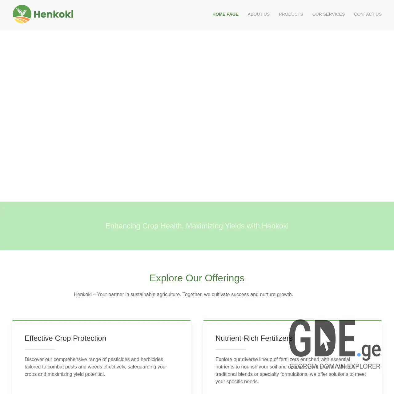 Screenshot of the site henkoki.ge at 2026-03-01