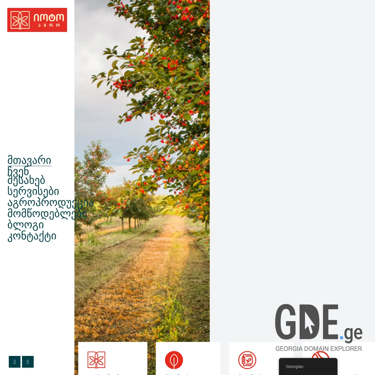 Screenshot of the site ioto.ge at 2026-03-28