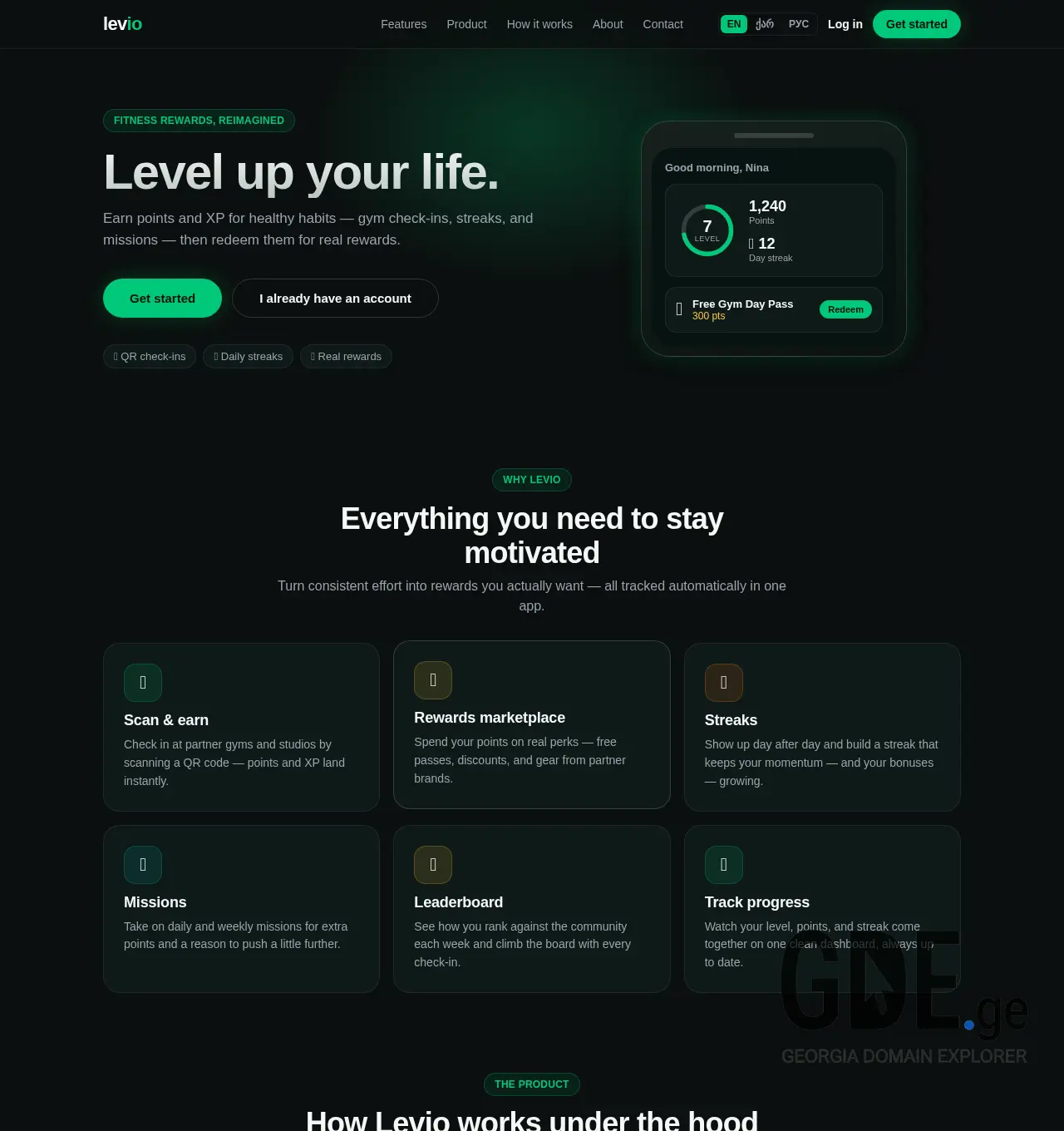 Screenshot of the site levio.ge at 2026-07-07