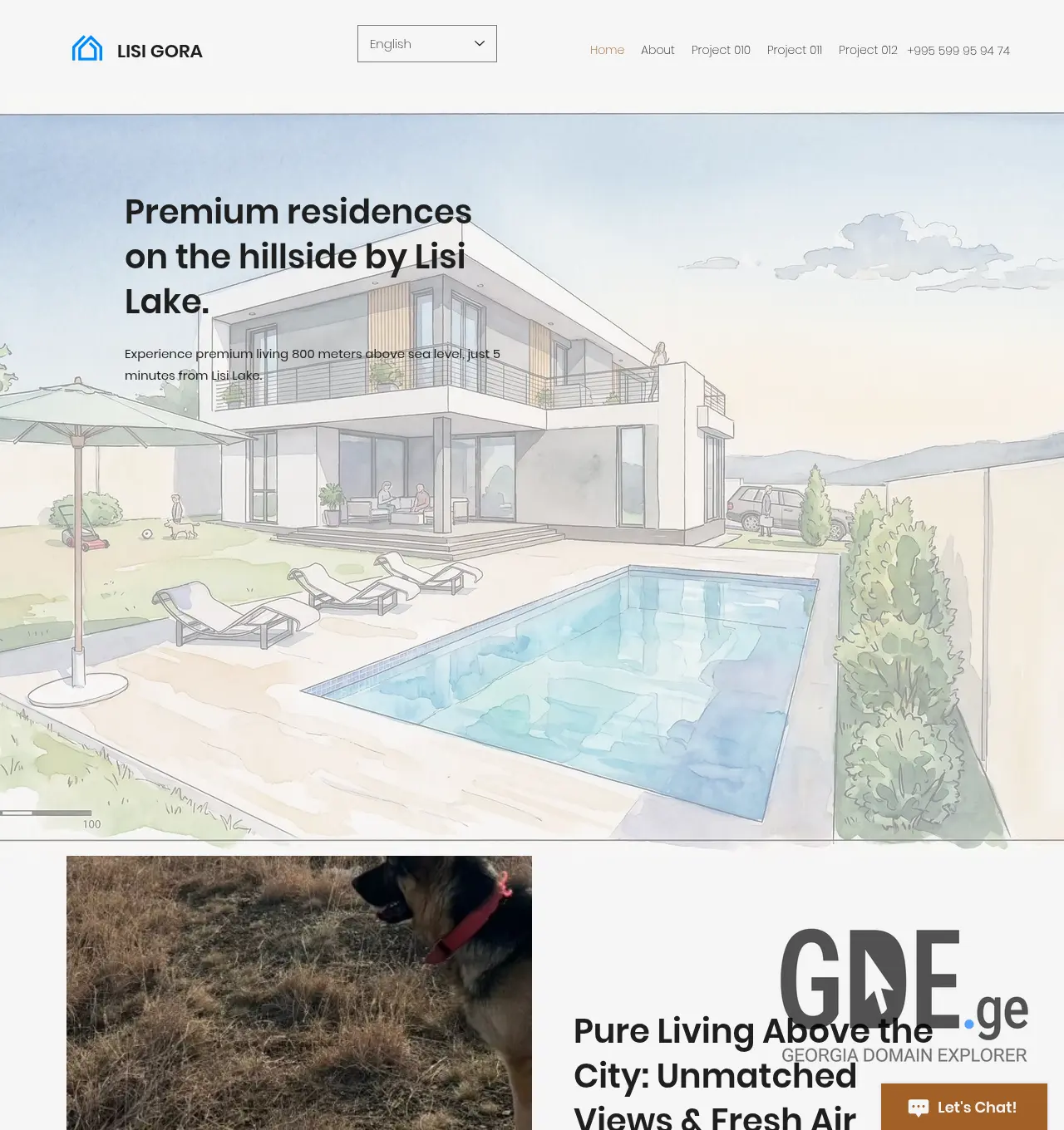 Screenshot of the site lisigora.ge at 2026-05-13