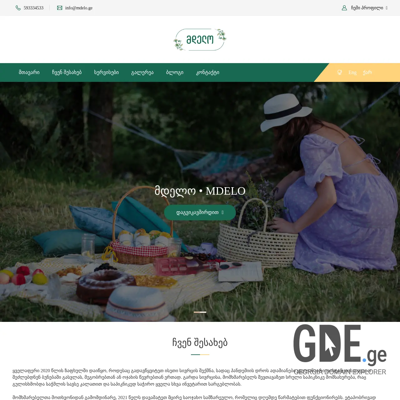 Screenshot of the site mdelo.ge at 2026-03-28