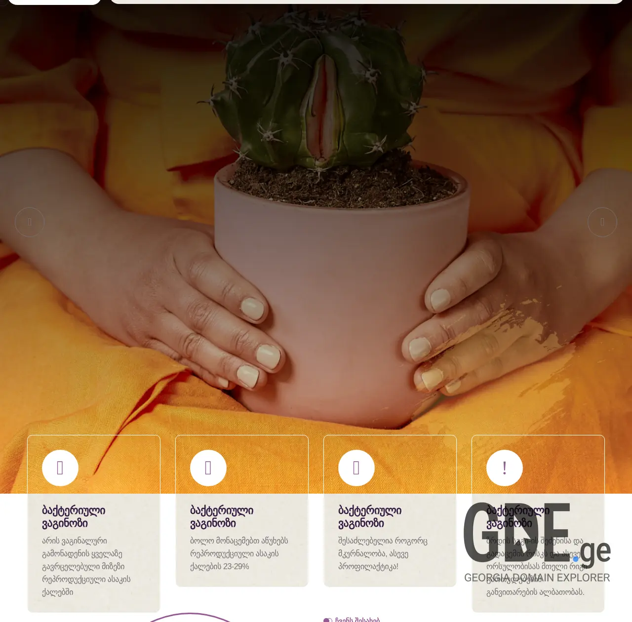 Screenshot of the site multigyn.ge at 2026-03-28