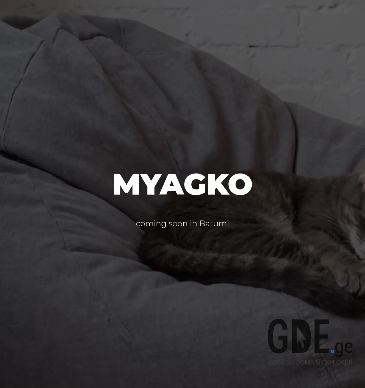 Screenshot of the site myagko.ge at 2026-07-13